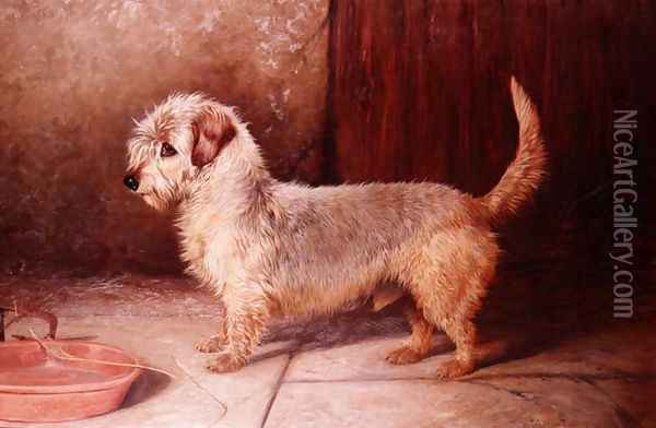 Callun, a Dandy Dinmont, 1895 Oil Painting - Colin Graeme Roe