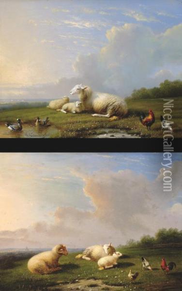 Landscapes With Sheepand Poultry Oil Painting - Franz van Severdonck