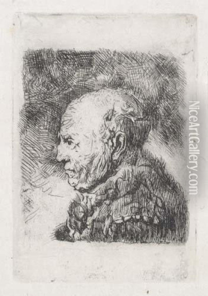 Bald Old Man In Profile: Bust Oil Painting - Rembrandt Van Rijn