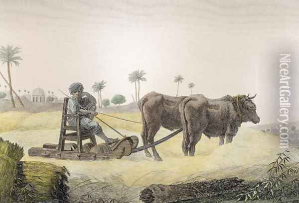 Harvesting Corn, from Volume II Arts and Trades of Description of Egypt 1822 Oil Painting - Nicolas Jacques Conte