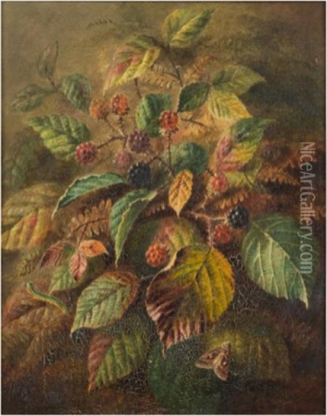 Blackberries And A Silver Y Moth Oil Painting - Albert Durer Lucas