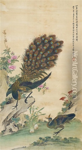 Peacock Oil Painting -  Jiang Tingxi