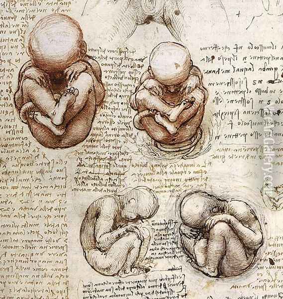 Fetus Oil Painting - Leonardo Da Vinci