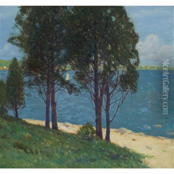 Old Cedars, Connecticut Lake Oil Painting - Charles Warren Eaton