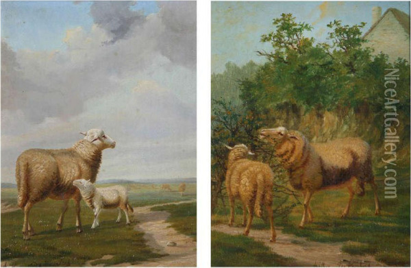 Schapen In Landschap Oil Painting - Arthur De Waerhert