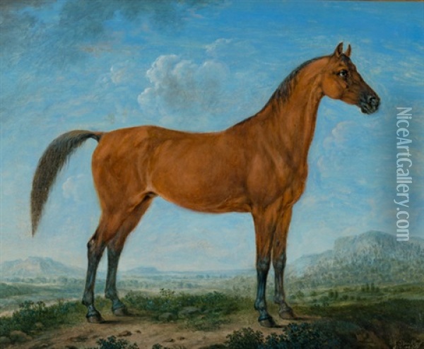 Bildnis Eines Braunen Araberpferdes Oil Painting - Johann Friedrich Steinkopf