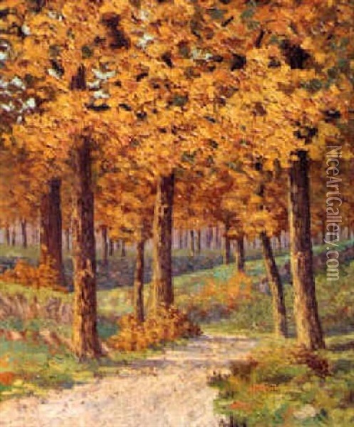 A Golden Grove Oil Painting - Hedley Waycott