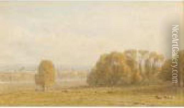 Cattle Grazing By Streatley On Thames Oil Painting - George Arthur Fripp