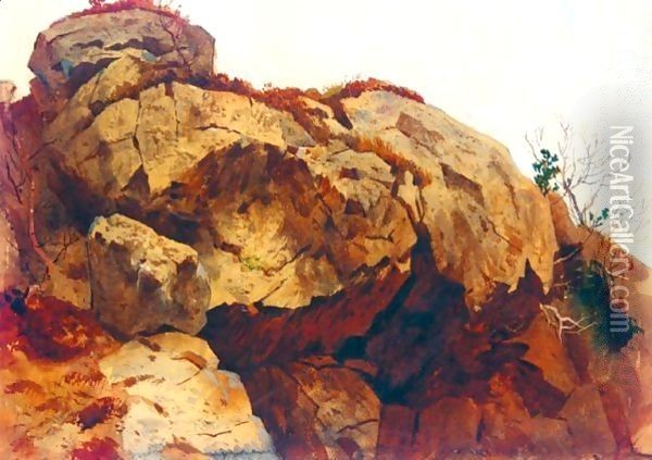 A Rocky Outcrop Oil Painting - Archibald Thorburn