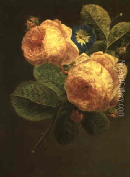Etude De Roses Avec Liseron Oil Painting - Christiaen van Pol