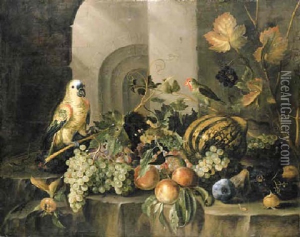 A Parrot, A Parakeet, A Melon, Bunches Of Grapes, Peaches, And Other Fruit, With A Lizard, A Beetle And Other Insects, On A Rocky Ledge Oil Painting - Jacob Marrel