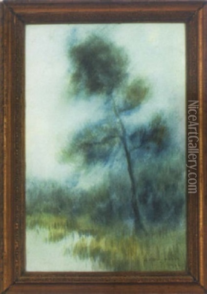Cypress In The Bayou Oil Painting - Alexander John Drysdale