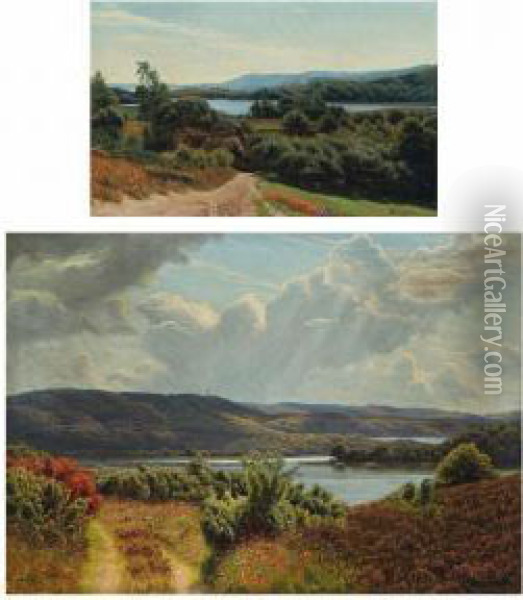 Sceneries From Himmelbjerget Oil Painting - Emil Winnerwald
