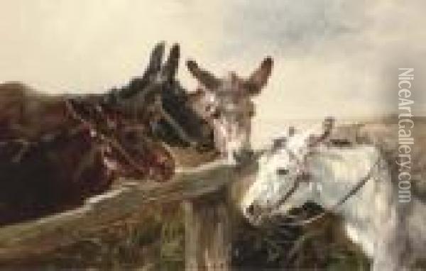 Donkeys Oil Painting - Henry Schouten