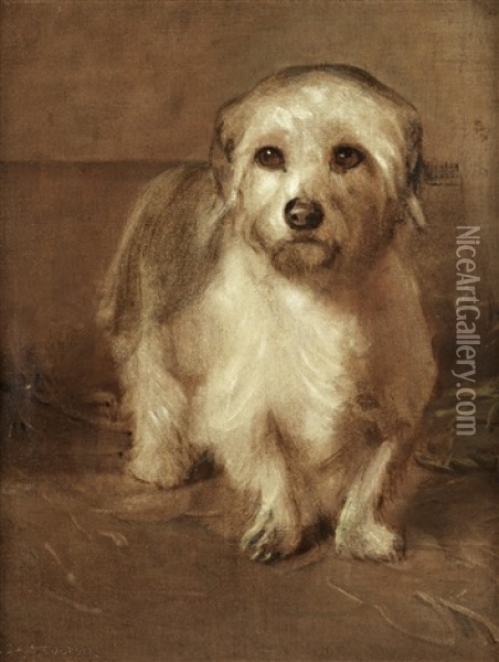 A White Terrier (puzzled) Oil Painting - Samuel Fulton