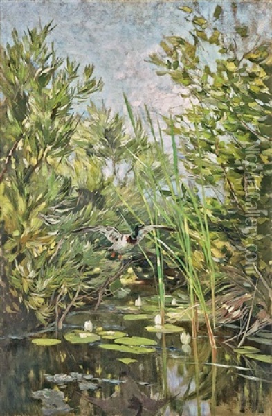 Teichlandschaft (johannistal) Mit Auffliegender Stockente Oil Painting - Karl Hagemeister
