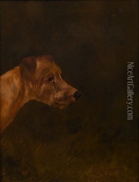 Irish Terrier Oil Painting - Colin Graeme