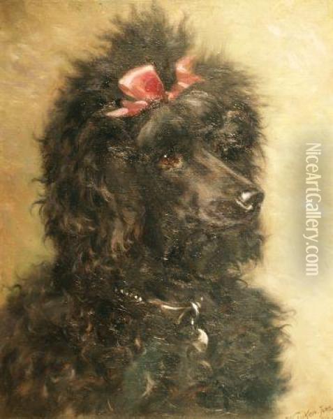 Portrait Of A Black Poodle With A Pink Bow Oil Painting - William Luker
