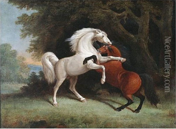 Two Horses Fighting In A Woodland Clearing Oil Painting - George Stubbs