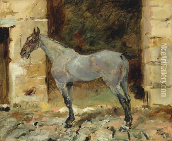Cheval Attache Oil Painting - Henri De Toulouse-Lautrec