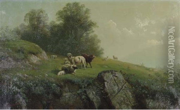 Sheep On A Rocky Hillside Oil Painting - Gunther Hartwick