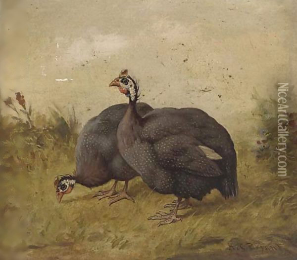 Guinea fowl Oil Painting - Henry Charles Bryant