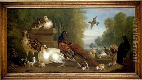 Pheasants, Poultry And Other Birds In A Formal Park Oil Painting - Pieter Casteels III