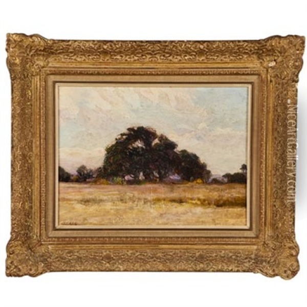 Landscape With Bolo Tree, Brazil Oil Painting - Alfredo Helsby