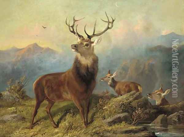 A stag and hinds in a landscape Oil Painting - Byron Webb