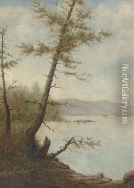 Along The Lake Shore Oil Painting - Thomas Doughty