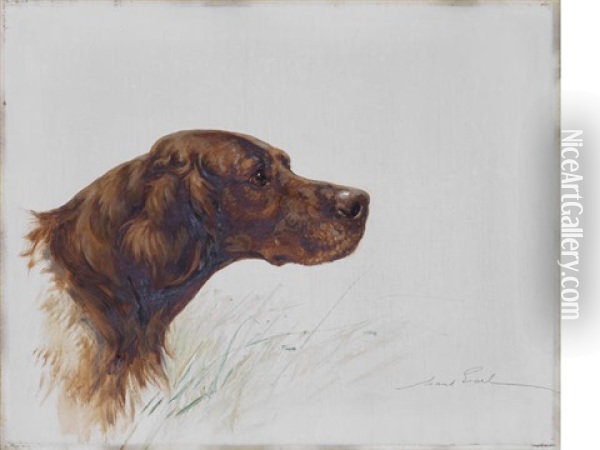 Red Setter Oil Painting - Maud Earl
