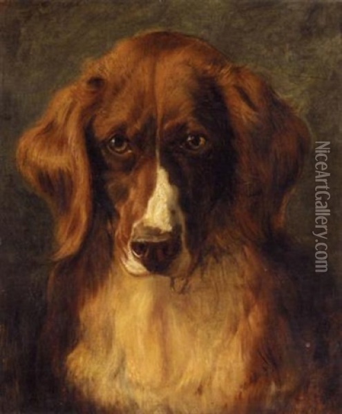 Portrait Of Mrs Keyl's Favourite Dog Oil Painting - Sir Edwin Henry Landseer