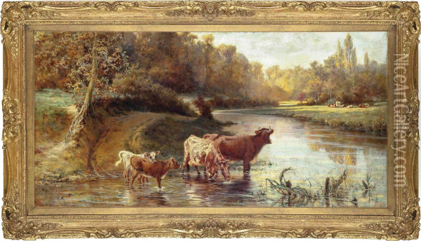 Cattle Watering In A Stream Oil Painting - Alice O. Clay