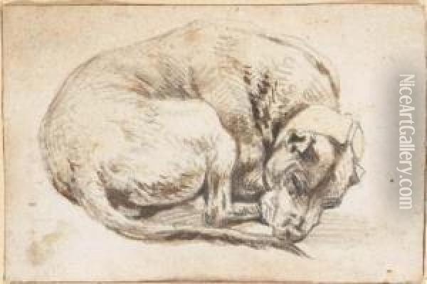 A Sleeping Dog Oil Painting - Cornelis Saftleven