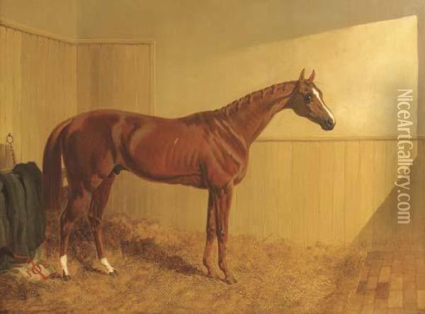 Mr. J. Dawson's Grimston, A Chesnut Racehorse In A Stable Oil Painting - John Frederick Herring Snr