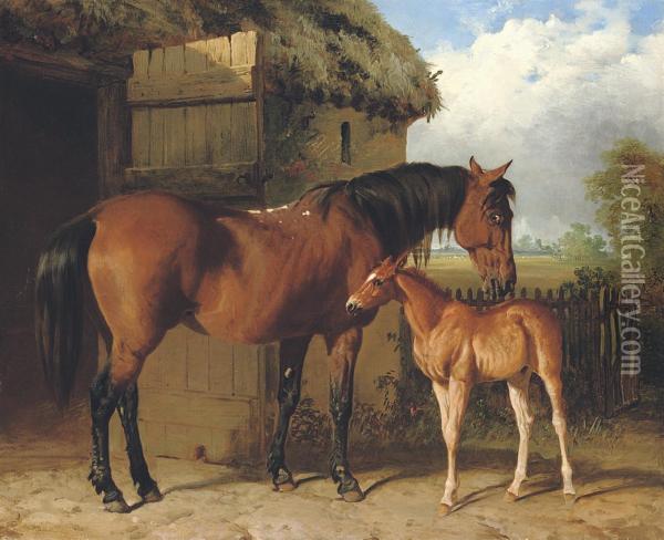 A Mare And Foal Oil Painting - Alfred Corbould