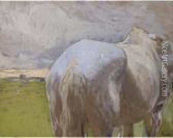 Study Of A Horse Oil Painting - Franz Roubaud
