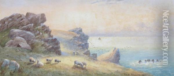 Looking Westward On The Headland Newquay Oil Painting - John Elliott
