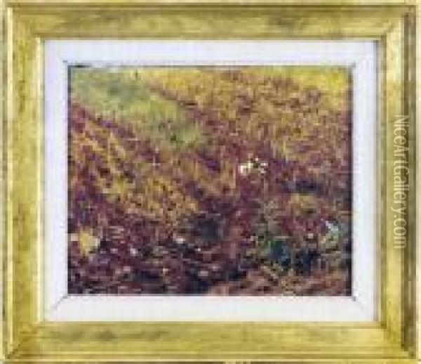 Study Of Grasses Oil Painting - Benjamin Williams Leader