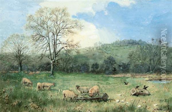 Sheep In A Meadow Oil Painting - Henry Birtles
