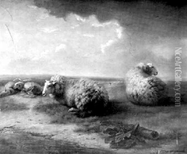 Moutons Au Bord De La Mare Oil Painting - Balthasar Paul Ommeganck
