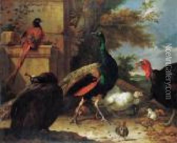 A Peacock, A Peahen, A Pheasant,
 A Turkey, A Cockerel And Chicks Bya Wall, A Landscape Beyond Oil Painting - Melchior de Hondecoeter