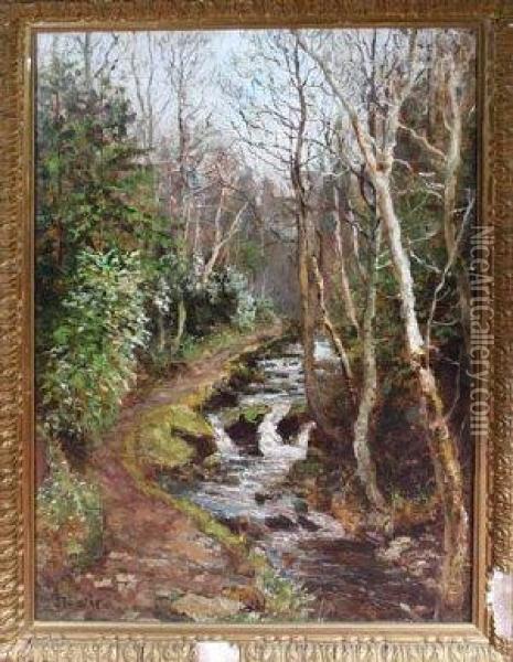 A Tree-lined River Oil Painting - John Falconar Slater