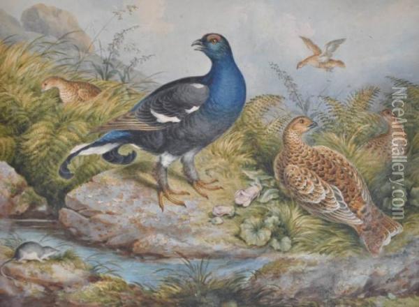Game Birds And A Foal On The Banks Of A Stream Oil Painting - Archibald Thorburn