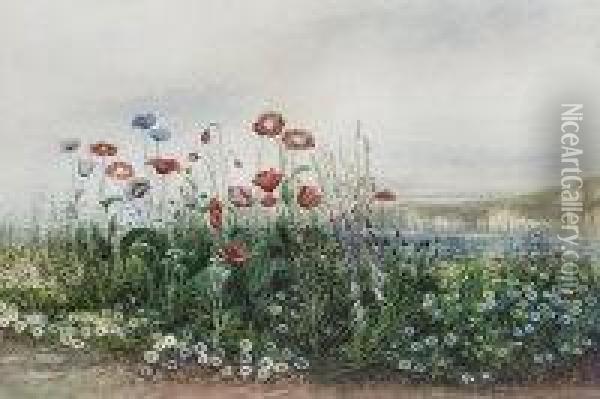 Poppies And Wild Flowers With Dunluce Castle Beyond, County Antrim Oil Painting - Andrew Nicholl