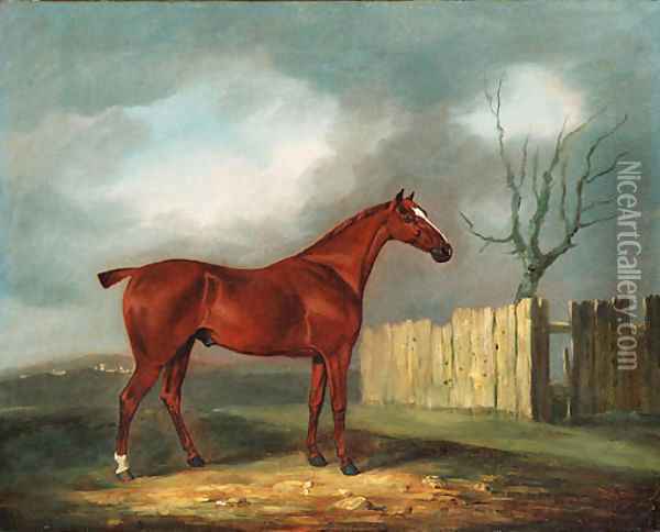 A chestnut Hunter by a Fence in an extensive Landscape Oil Painting - Edwin Cooper