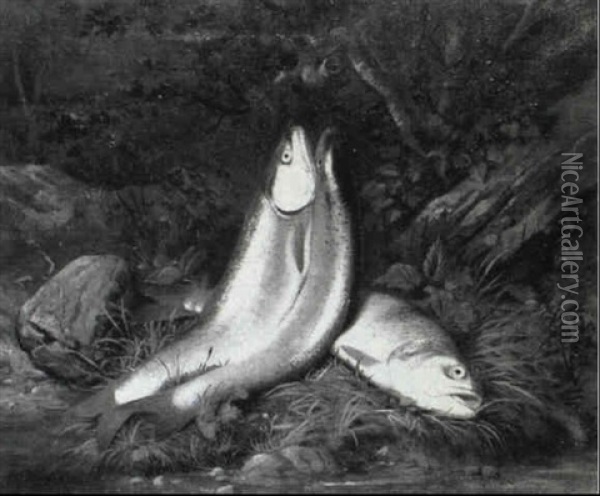 Still Life With Fish Oil Painting - Samuel Marsden Brookes