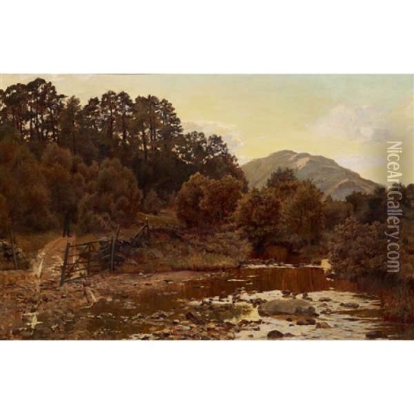 Tom Dhu, Glenfinlas, Evening Oil Painting - Duncan Cameron