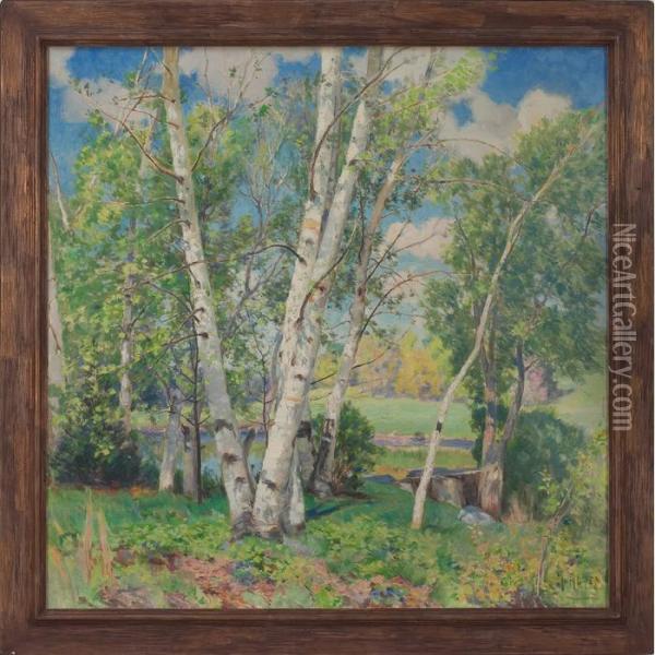 Birches Oil Painting - Mathias Joseph Alten