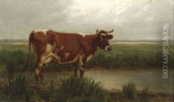 Bovine Portrait Oil Painting - George Arthur Hays